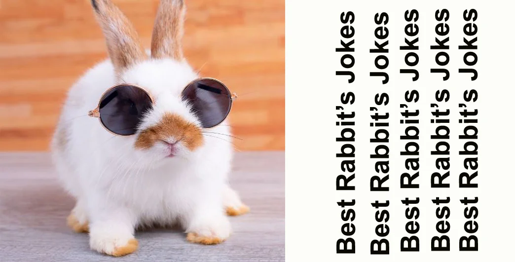 Best Rabbit Jokes: Bringing Laughter to Your Day